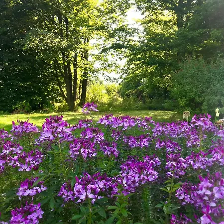 Couette-café Un Matin Au Jardin Francorchamps