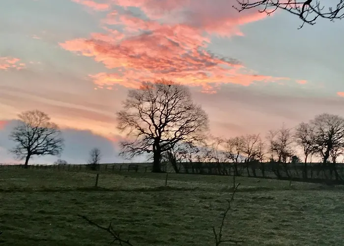 住宿加早餐酒店 