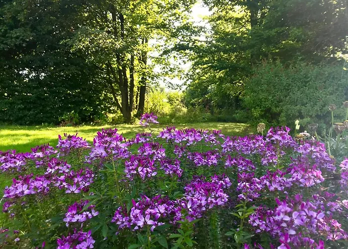 住宿加早餐酒店 